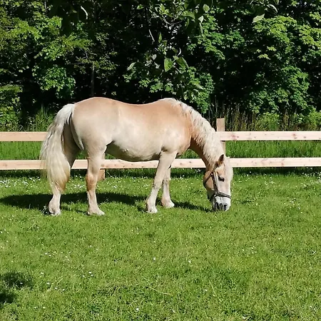 Daire Hof Koopmann Dahlem (Luneburg)