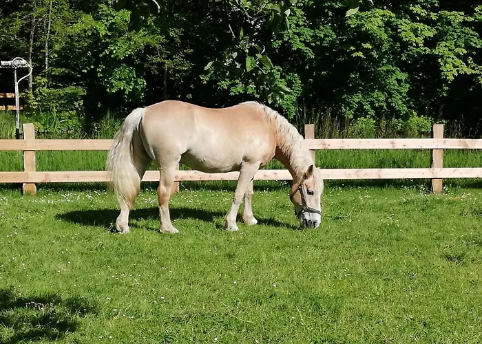 Lägenhet Hof Koopmann Dahlem (Luneburg)